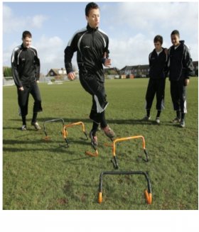 Adjustable Hurdles