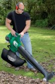 30cc Petrol Vacuum/Blower and Mulcher