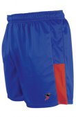 Inter Football Shorts